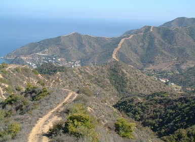 Avalon, Catalina Island: 2-Hour Inside Adventure Tour