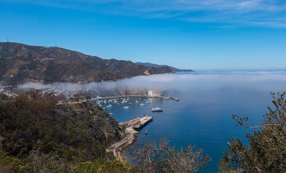 Picture 3 for Activity Avalon, Catalina Island: Inside Adventure Tour