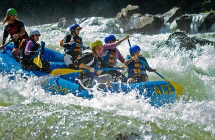 Whitewater Rafting on the Autumn Upper Gauley - Sunday