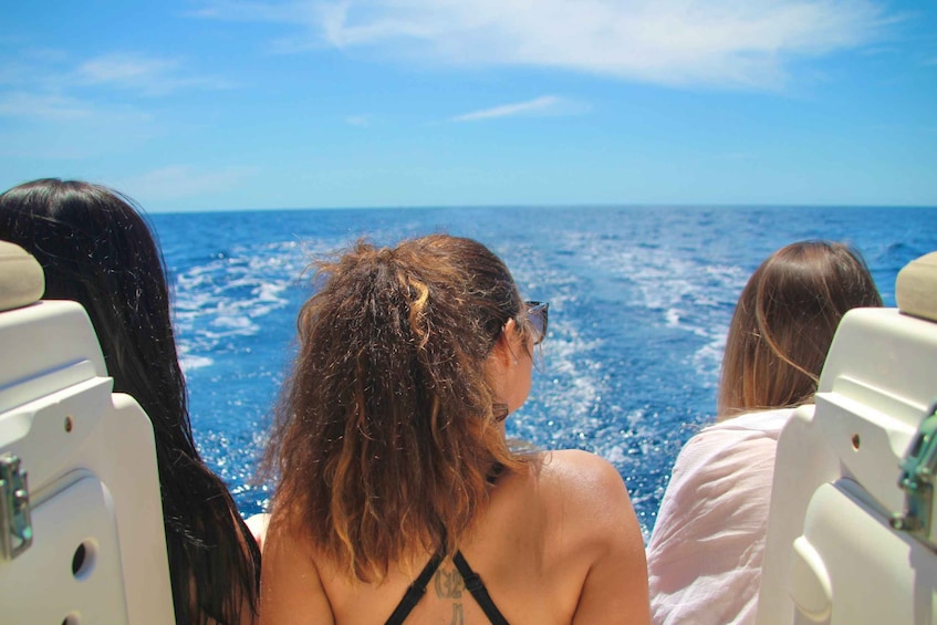 Picture 8 for Activity Puerto Colon : Whale & Dolphins Sailing Excursion