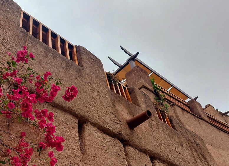 Picture 14 for Activity From Muscat: Nizwa and Jebel Akhdar Full-Day Tour with Lunch
