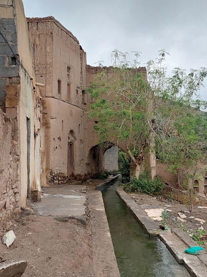 Picture 14 for Activity From Muscat: Nizwa and Jebel Akhdar Full-Day Tour with Lunch