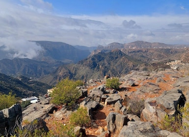 Vanuit Muscat: Nizwa en Jebel Akhdar hele dag tour met lunch