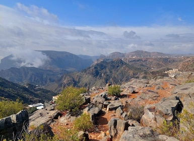 Depuis Mascate : Nizwa et Jebel Akhdar journée complète excursion avec déje...