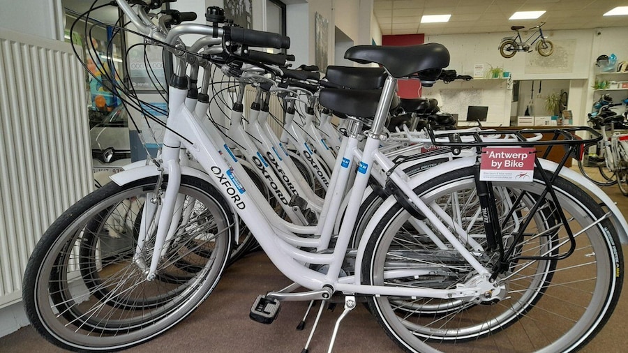 Antwerp: Full Day Bike Rental