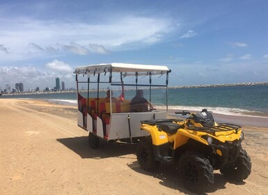 Safari à la plage de Port City