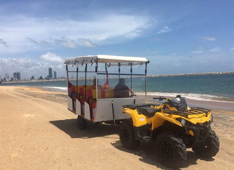 Port City Beach Safari