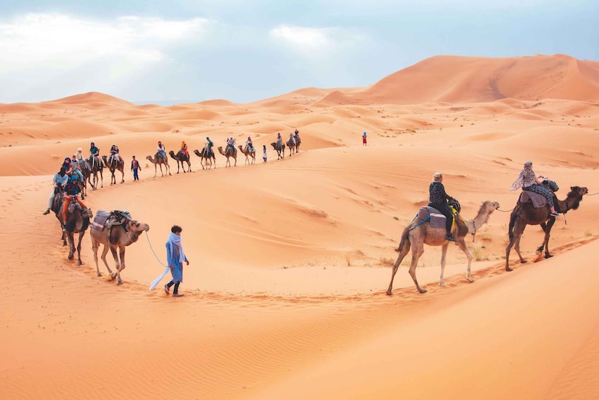 From Fes: 3-Day Desert safaris, Merzouga Tour To Marrakech