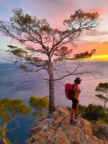 Portofino: Guided Mountain Hike with Ice Cream