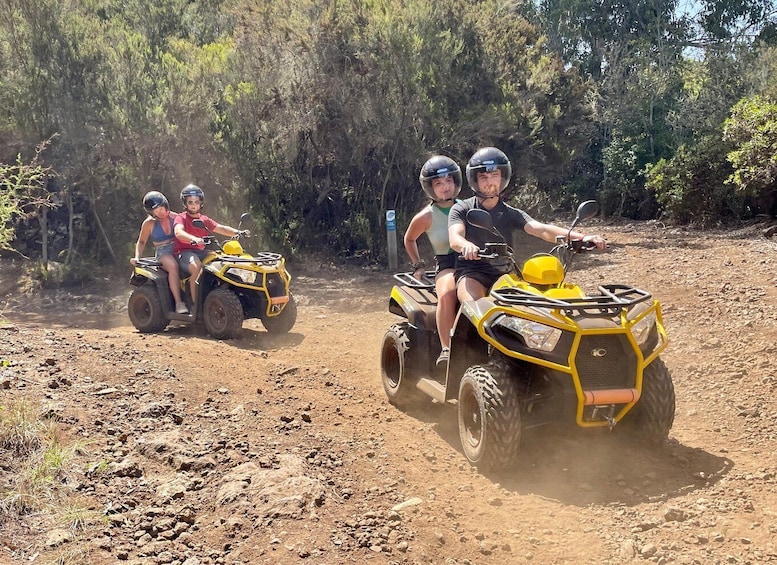 Picture 20 for Activity From Puerto de la Cruz: Quad Ride with Snack and Photos