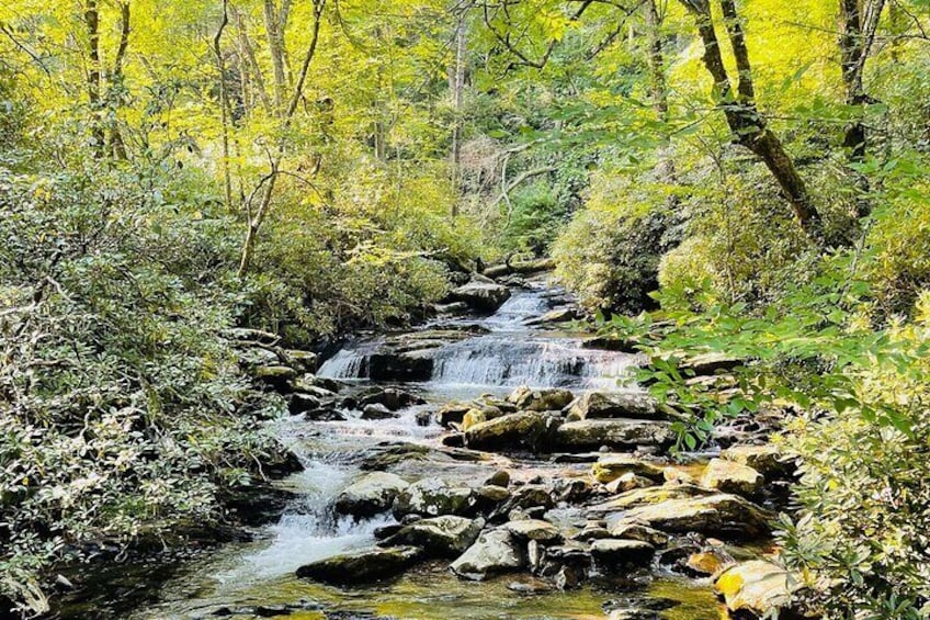 Smoky Mountains Newfound Gap Jeep Tour