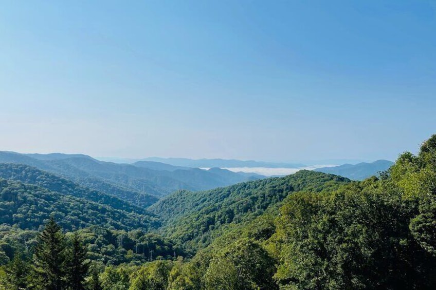 Smoky Mountains Newfound Gap Tour