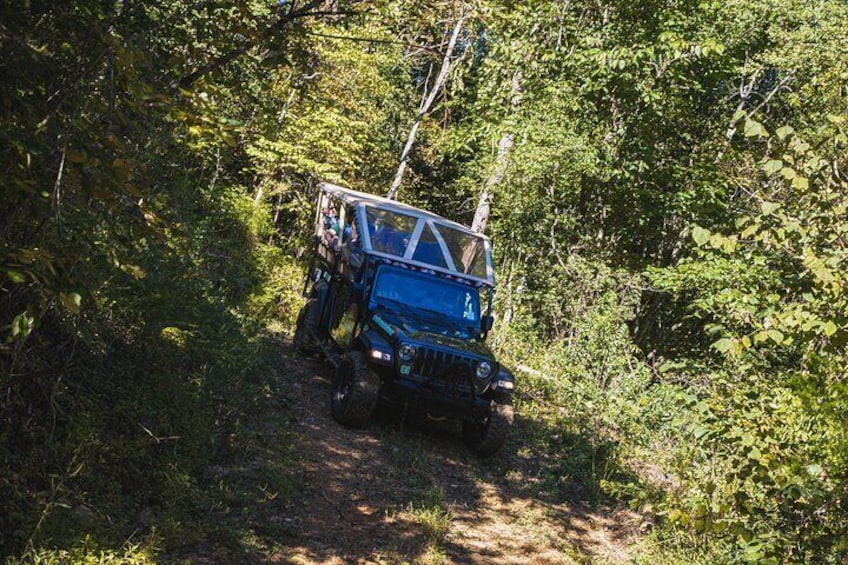 Smoky Mountains Newfound Gap Jeep Tour