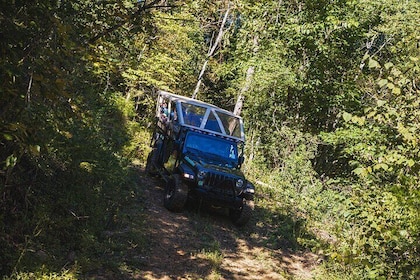 Smoky Mountains Newfound Gap Jeep Tour