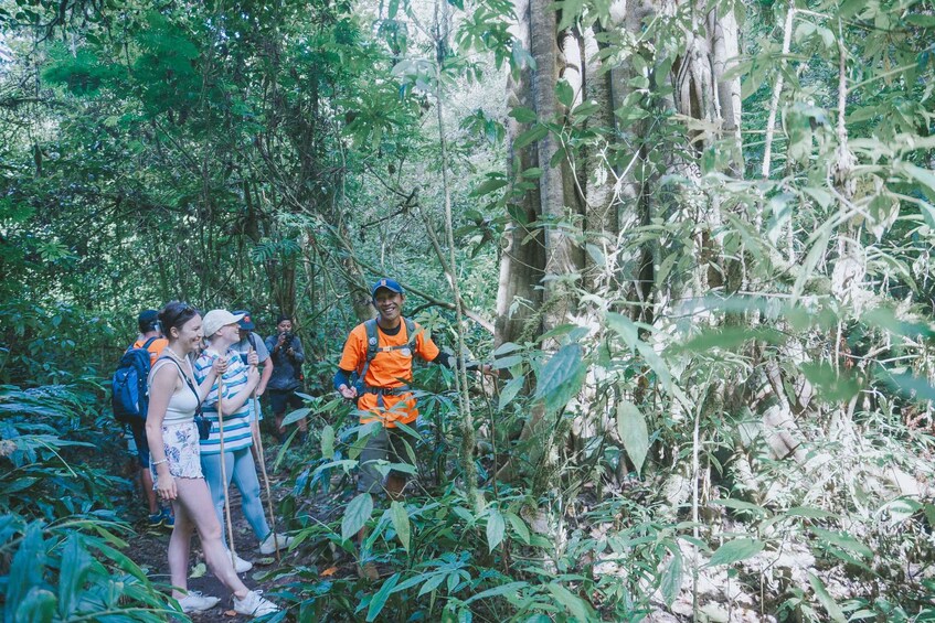 Picture 4 for Activity Bali: Munduk Waterfalls Trek, Twin Lakes and Temple Tour