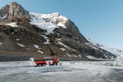 De Calgary/Banff : Excursion d’une journée dans le champ de glace Columbia