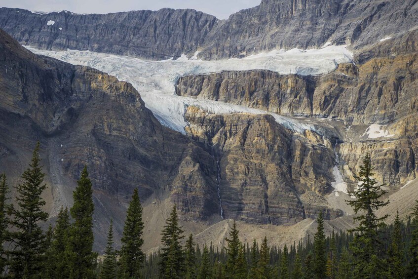 Picture 5 for Activity From Calgary/Banff: Columbia Icefield Day Trip