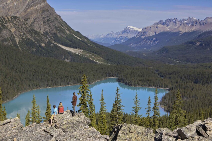 Picture 3 for Activity From Calgary/Banff: Columbia Icefield Day Trip