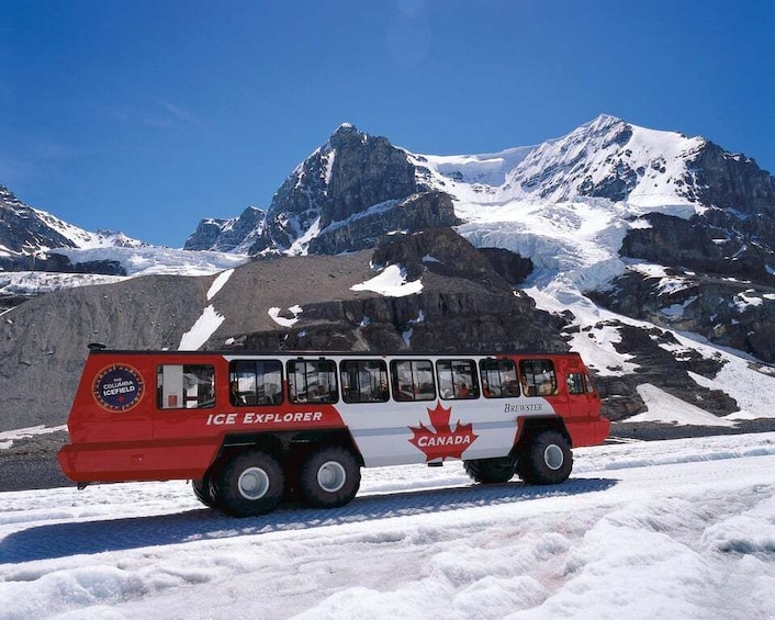 Picture 2 for Activity From Calgary/Banff: Columbia Icefield Day Trip