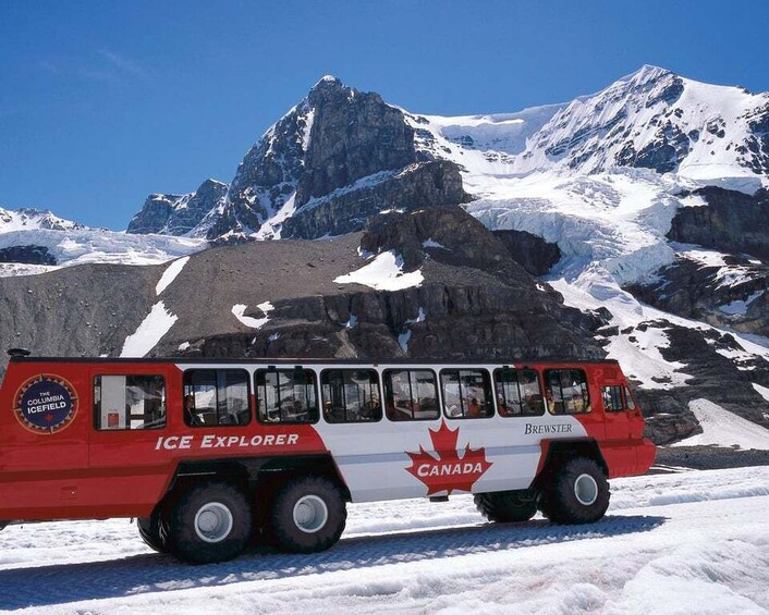 Picture 2 for Activity From Calgary/Banff: Columbia Icefield Day Trip