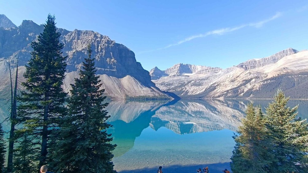 Picture 4 for Activity From Calgary/Banff: Columbia Icefield Day Trip