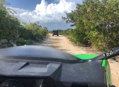 Providenciales: Guided Buggy Safari with Hotel Transfers