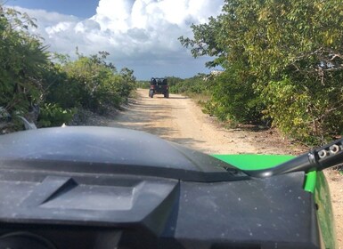 Providenciales: Guided Buggy Safari with Hotel Transfers