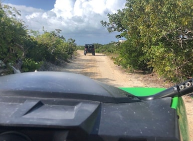Providenciales: Guided Buggy Safari with Hotel Transfers