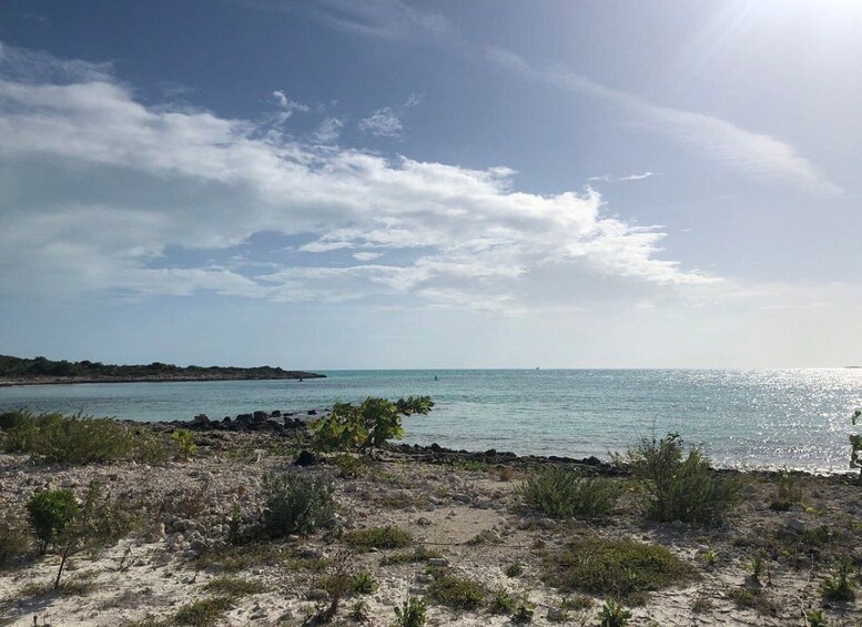 Picture 1 for Activity Providenciales: Guided Buggy Safari with Hotel Transfers