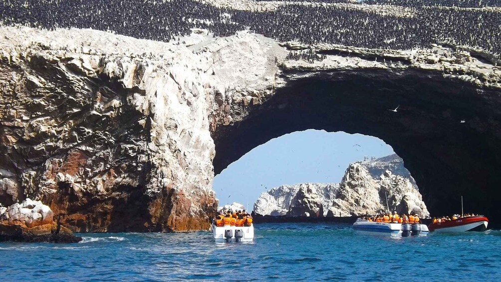 Picture 1 for Activity Islas Ballestas Boat Tour - The Galapagos of Peru