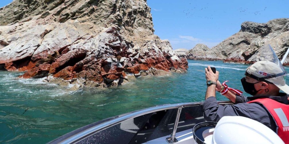 Picture 2 for Activity Islas Ballestas Boat Tour - The Galapagos of Peru