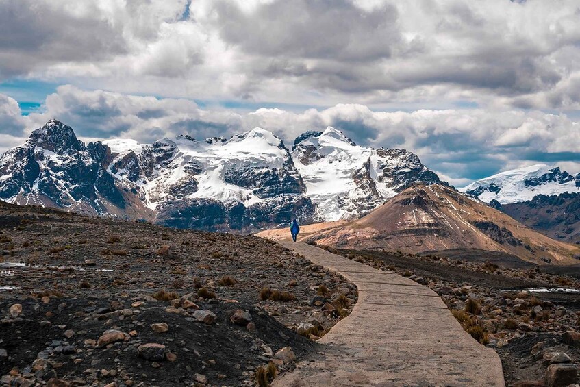 Picture 8 for Activity From Huaraz || Pastoruri and Puyas Raymondi Snowy Tour ||