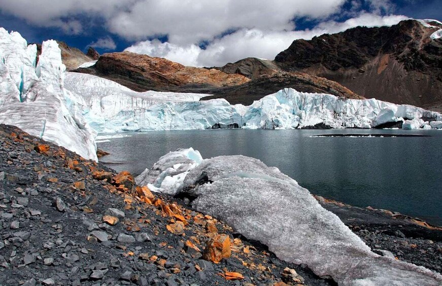 From Huaraz || Pastoruri and Puyas Raymondi Snowy Tour ||