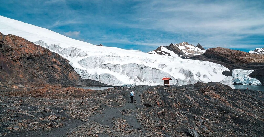 Picture 2 for Activity From Huaraz || Pastoruri and Puyas Raymondi Snowy Tour ||