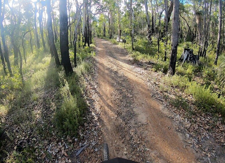 Picture 2 for Activity Margaret River: Mountain Bikes & Brews Small Group Tour