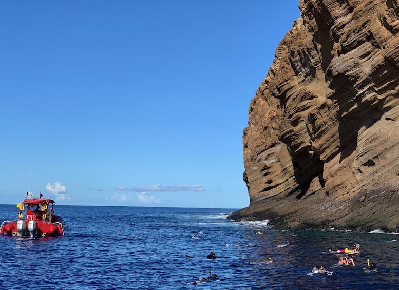 Picture 3 for Activity Molokini Snorkel & South Maui Coast Tour