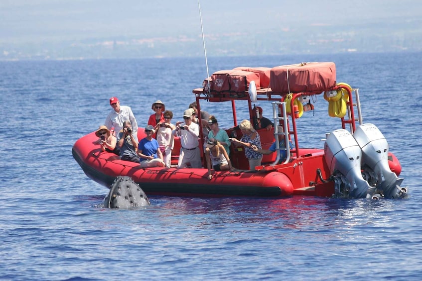 Molokini Snorkel & South Maui Coast Tour