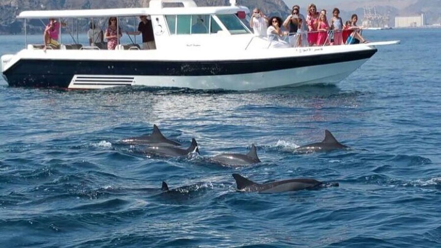 Muscat Dolphin Watching & Coastal Sightseeing Tour