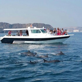 Avistamiento de delfines de Mascate y tour turístico por la costa