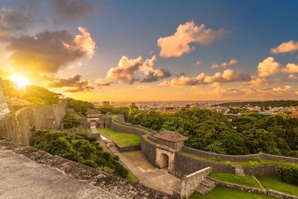 Exploring Okinawa's Natural Beauty and Rich History