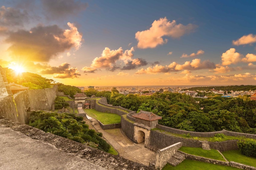 Exploring Okinawa's Natural Beauty and Rich History