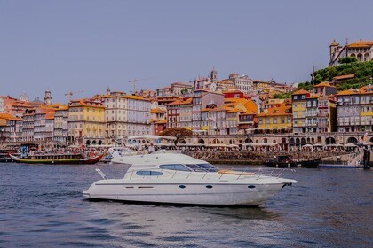 Porto: Private Yacht Cruise with Local Wine, Snacks and 6 Bridges