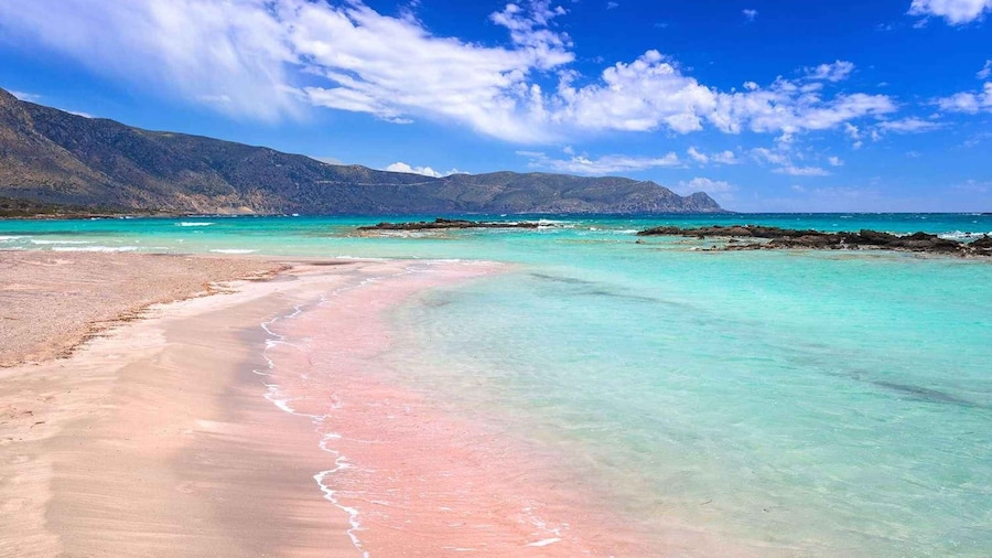 Chania: Elafonisi Day Tour with Free Time & Elos Visit