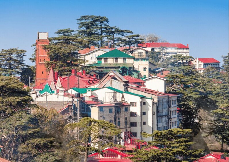 Picture 8 for Activity Experience Best of Shimla with a local - Half day Tour