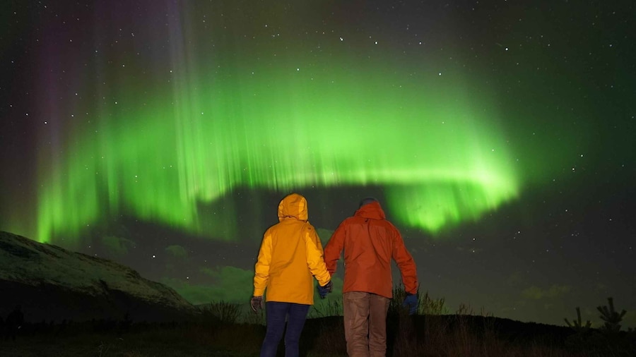 Tromsø: Northern Lights Minibus Small Private Tour Group