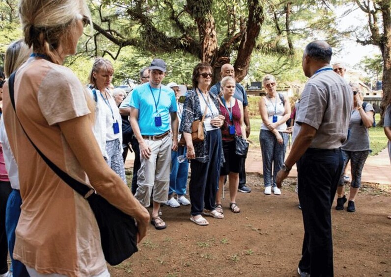 Picture 1 for Activity Auroville Guided Walking Tour