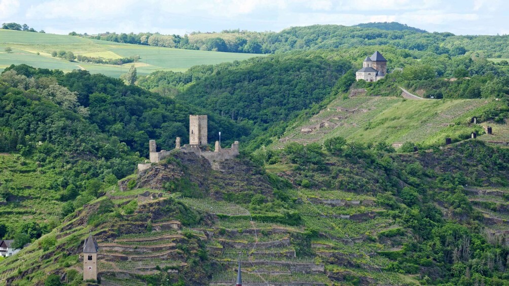 Picture 5 for Activity 2-River Day-trip by boat to Koblenz and return from Alken