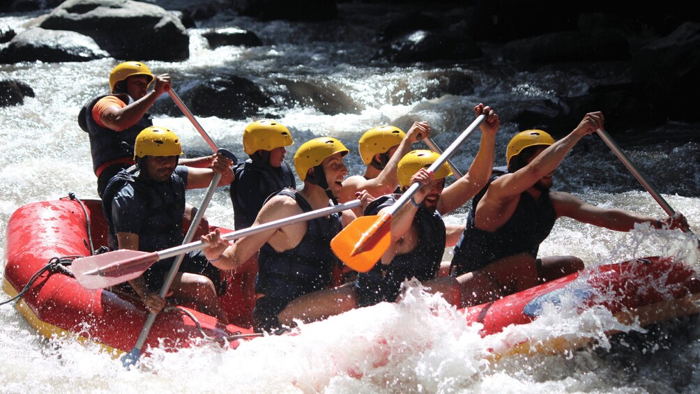 Picture 2 for Activity Ubud: Jungle Quad Bikes and Rafting in One Place Adventures