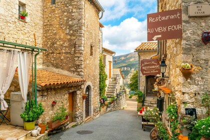 Vanuit Nice: Dagtocht naar het platteland van de Provence en middeleeuwse d...