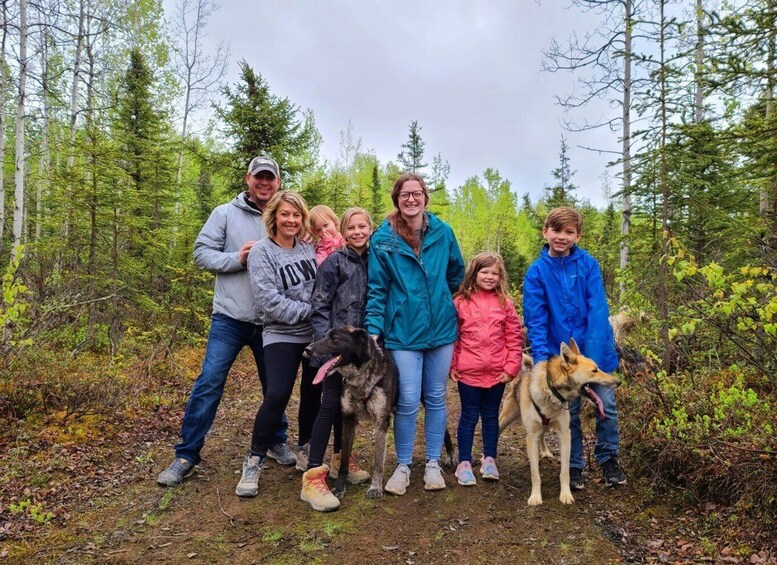 Picture 1 for Activity Willow: Summer Dog Sledding Ride in Alaska